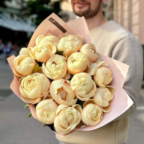 15 ексклюзивних півоній «Кремове диво»