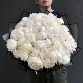 51 білий піон