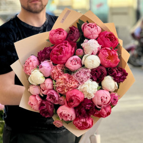 35 peonies in a bouquet «Berry Gelato»