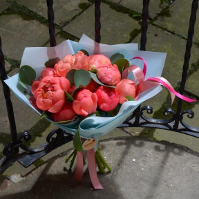 Коралові піони Coral Charm