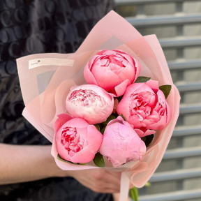 5 peonies in a bouquet «Strawberry sorbet»