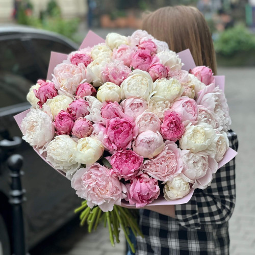 51 peonies in a bouquet «Pink blossom»