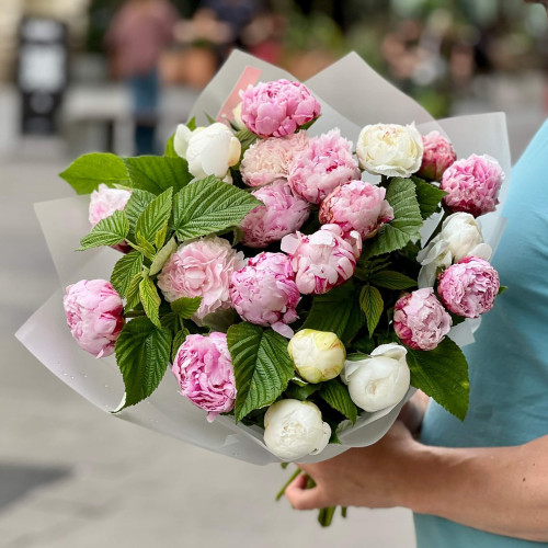 25 peonies in a bouquet «Aroma of Happiness»