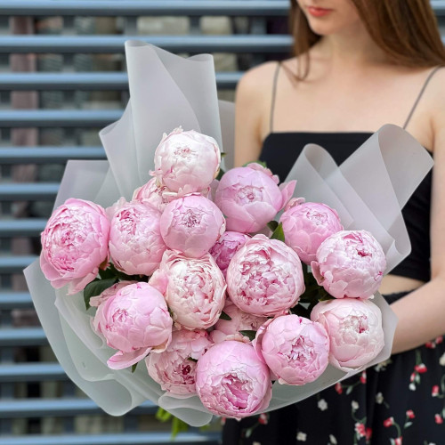 Букет из 19 пионов «Сара Бернар»