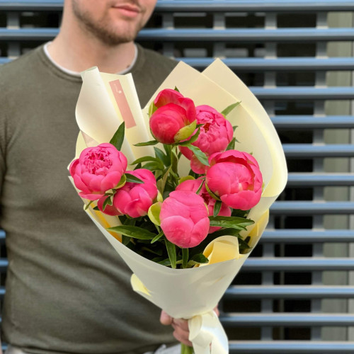 7 півоній у букеті «Коралові примхи»
