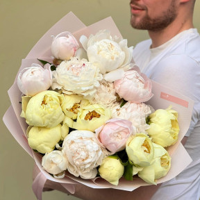 Mix of 17 peonies «Pink cream»