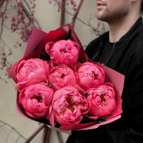 7 півоній Coral Charm у букеті «Кораловий спалах»