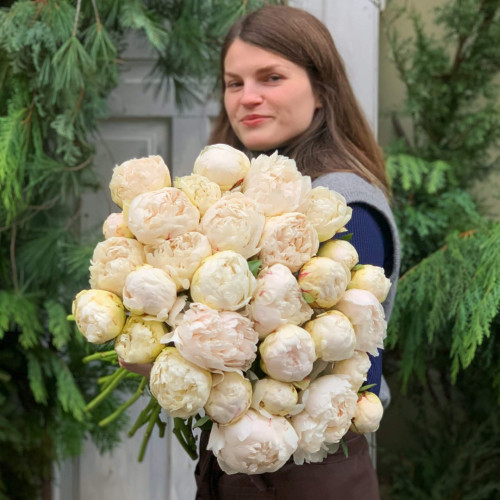 29 peonies «Marshmallow»