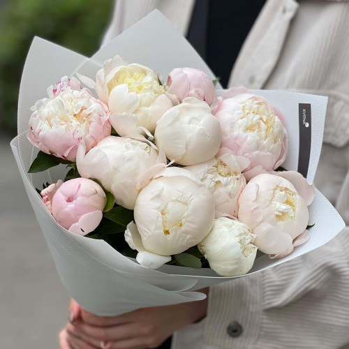 Airy bouquet of 11 peonies «Paris marshmallow»