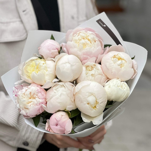 Airy bouquet of 11 peonies «Paris marshmallow»