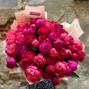 Bouquet of 51 peonies «Crimson Temptation»