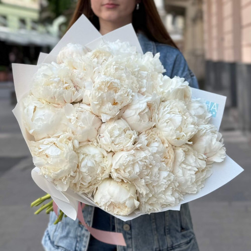 25 белоснежных пионов сорта Bowl of Cream в букете «Белоснежка»