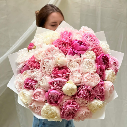 Мікс з 51 півонії «Рожевий океан»