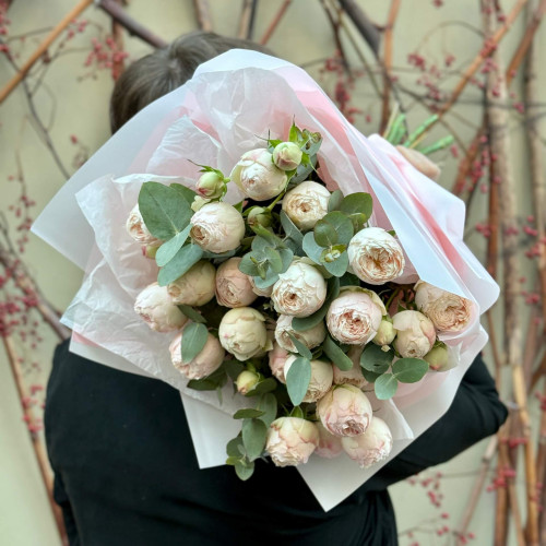 5 гілок кущової піоновидної троянди Mansfield Park у букеті «Прояв ніжності»