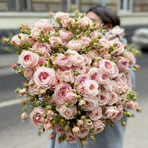 15 гілок кущової троянди «Rosa Loves Me With Fatal Attraction»