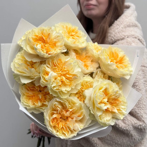 17 розкішних півонієвидних троянд Antonia Garden у букеті «Лимонний курд»