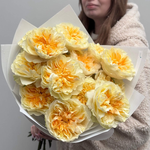 17 розкішних півонієвидних троянд Antonia Garden у букеті «Лимонний курд»