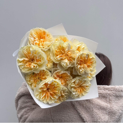 17 розкішних півонієвидних троянд Antonia Garden у букеті «Лимонний курд»