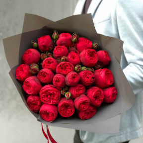 Піоновидна троянда «Piano»