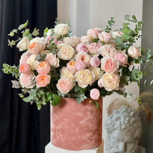 Розкішна композиція у коробці з ароматних піоновидних троянд у відтінках картини Жана Ватто «Любовна пісня»