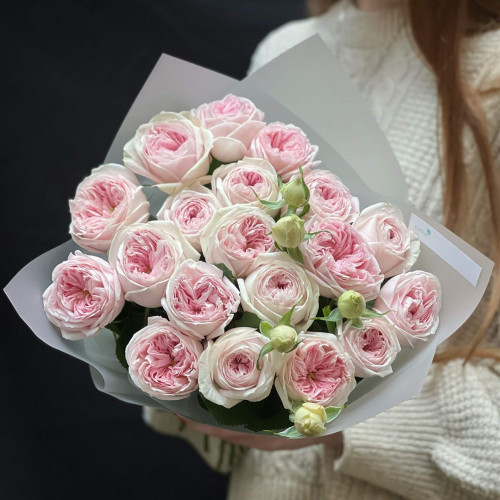 19 піоновидних троянд Ballerina Summerhouse у букеті «Світанок»