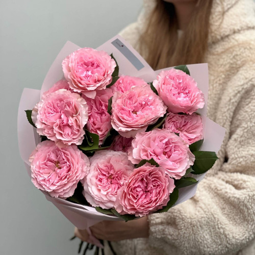 13 ніжних півонієвидних троянд Mayra Pink у букеті «Романтичне мереживо»