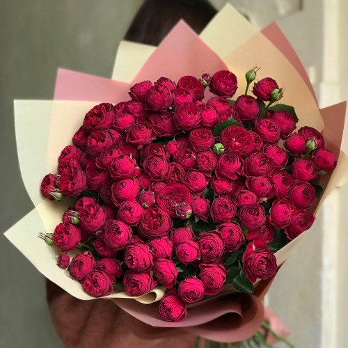 25 гілок піоновидної кущової троянди Maroon у букеті «Пристрасний поцілунок»