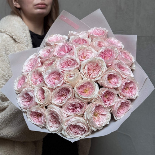 33 ніжно-рожеві піоновидні троянди Tsumugi у букеті «Мрії принцеси»
