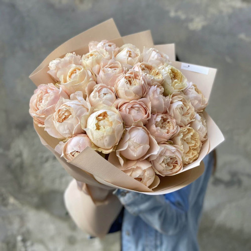 Піоновидна троянда «Unforgettable»