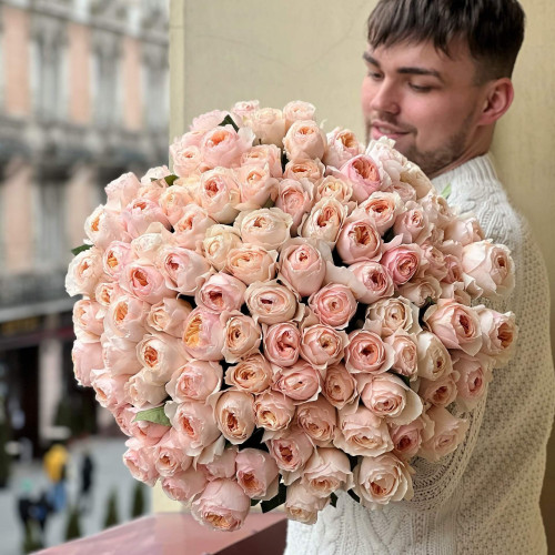 101 піоновидна троянда «Juliette» від David Austin