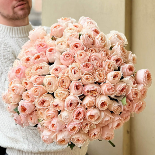 101 піоновидна троянда «Juliette» від David Austin