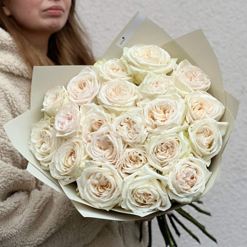 21 ароматна півонієвидна троянда White O'Hara у букеті «Найніжніший парфум»