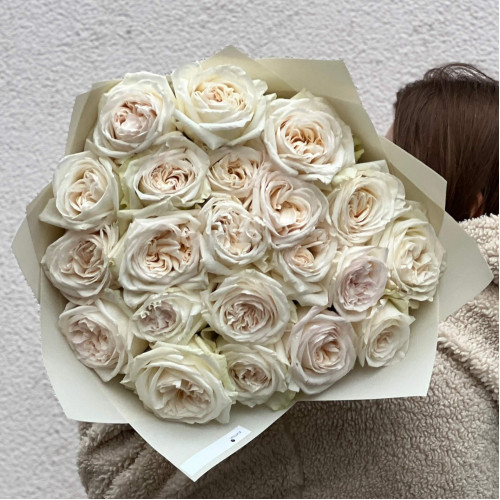 21 ароматна півонієвидна троянда White O'Hara у букеті «Найніжніший парфум»