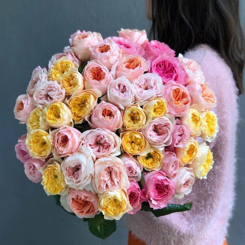 Мікс із 51 піоновидної троянди від плантації David Austin