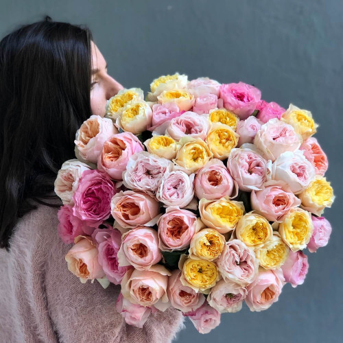 Мікс із 51 піоновидної троянди від плантації David Austin