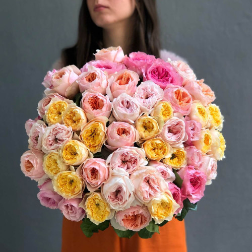 Мікс із 51 піоновидної троянди від плантації David Austin