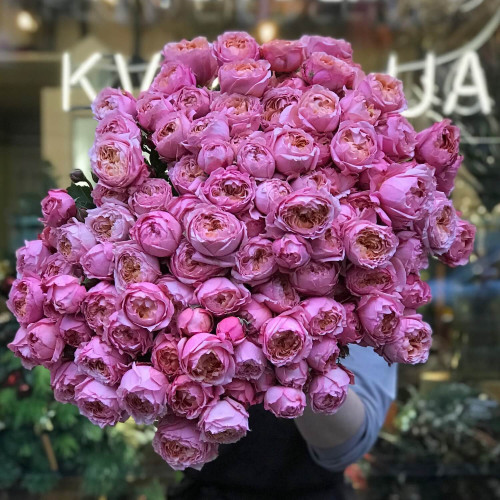 Кущова піоновидна троянда «Juliet»