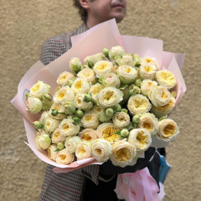 Піоновидна кущова троянда «Ванільний поцілунок»