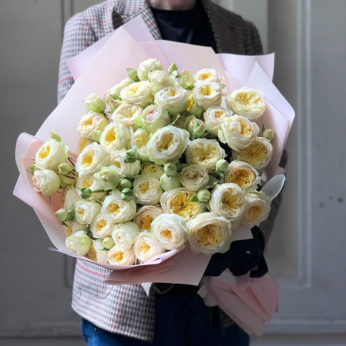 Піоновидна кущова троянда «Ванільний поцілунок»