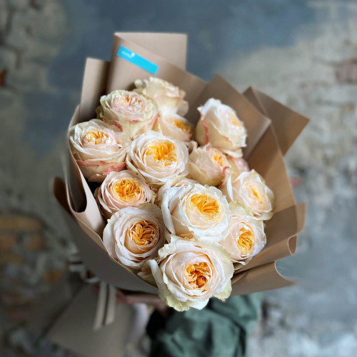 Піоновидна троянда «Victorian Peach»