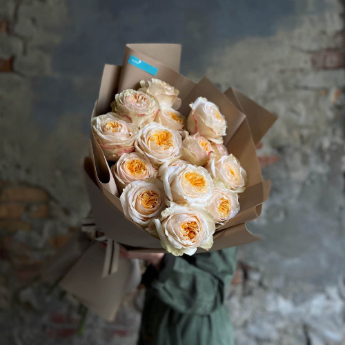 Піоновидна троянда «Victorian Peach»