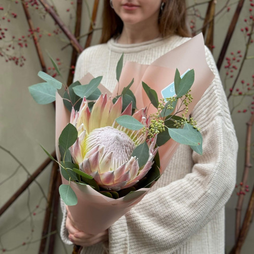 Неймовірна королівська протея з евкаліптом у букеті «Зірка Африки»
