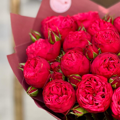 19 гілочок кущової троянди Red Piano у букеті «Люблю тебе!»