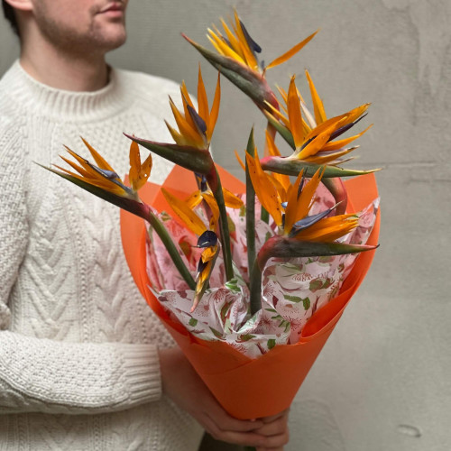 9 яскравих екзотичних стреліцій у букеті «Веселі тропіки»