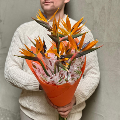 9 яскравих екзотичних стреліцій у букеті «Веселі тропіки»