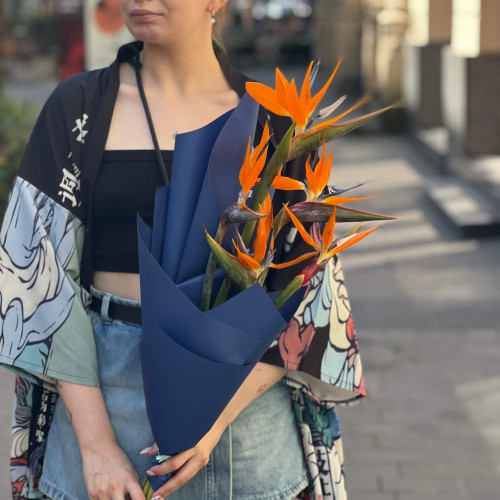 Mono bouquet of 5 strelitzias «Japanese Crane»