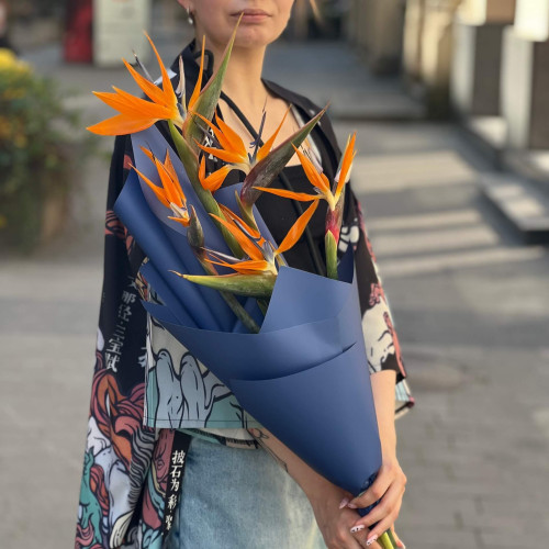Mono bouquet of 5 strelitzias «Japanese Crane»