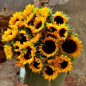 Величезний букет з 25 соняшників «Сонячне тяжіння»