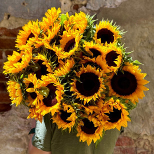 Huge bouquet of 25 sunflowers «Solar Gravity»