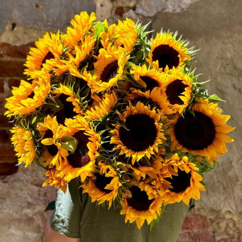 Огромный букет из 25 подсолнухов «Солнечное притяжение»